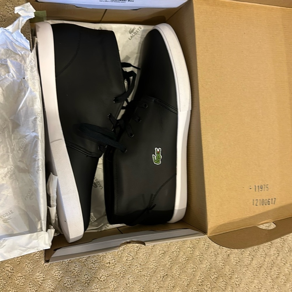 Lacoste brand new Men sneakers